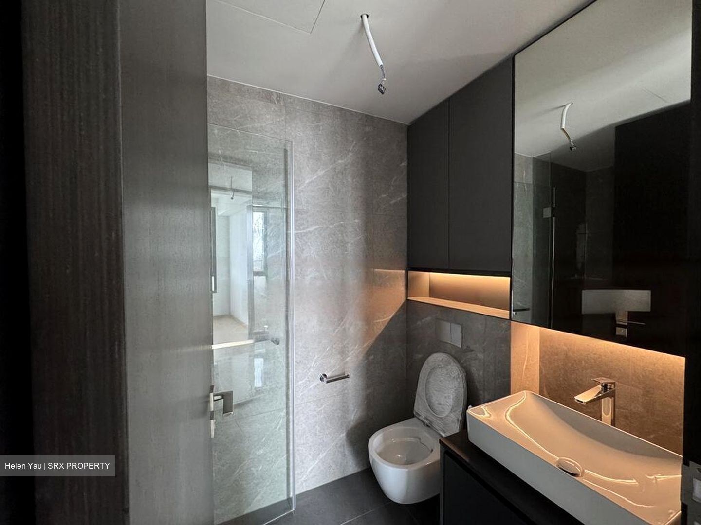Irwell Hill Residences (D9), Apartment #448892351